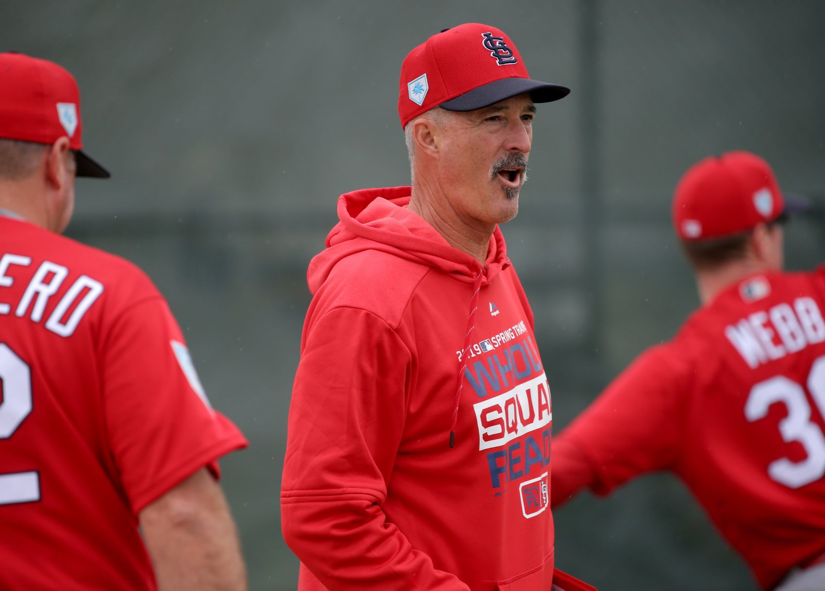 Cardinals spring training